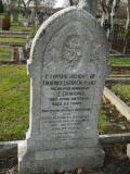 image of grave number 240261